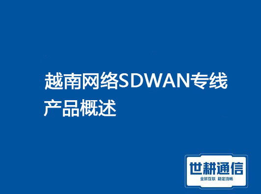 越南网络SDWAN概述.jpg