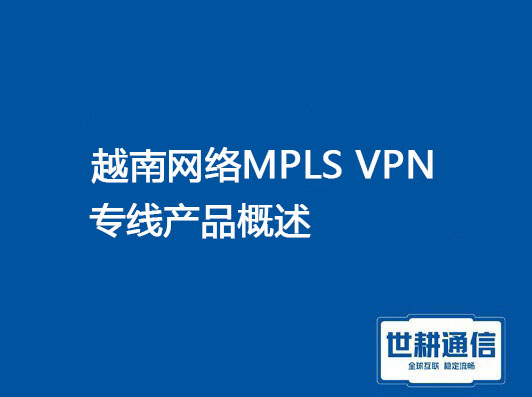 越南网络MPLS VPN概述.jpg