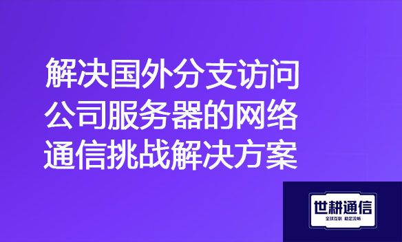 解决国外分支访问公司服务器的网络通信挑战.jpg