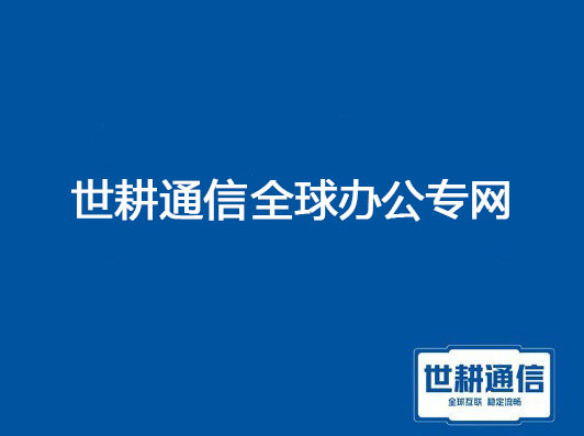 世耕通信全球办公专网.jpg