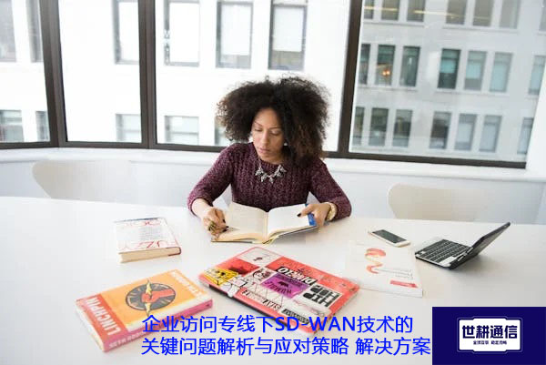 企业访问专线下SD-WAN技术的关键问题解析与应对策略.jpg