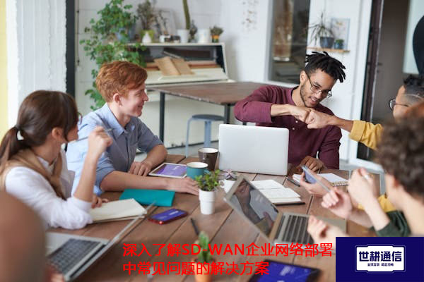 深入了解SD-WAN企业网络部署中常见问题的解决方案.jpg