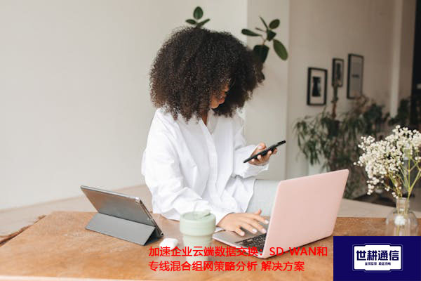 加速企业云端数据交换：SD-WAN和专线混合组网策略分析.jpg
