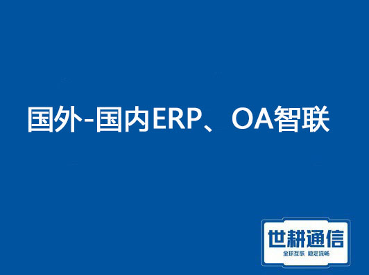 国外ERP系统慢：探究原因与方案？？？？解决方案//世耕通信ERP、OA专网服务商