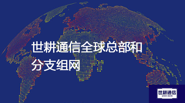 全球总部和分支组网？？？//世耕通信全球办公专网