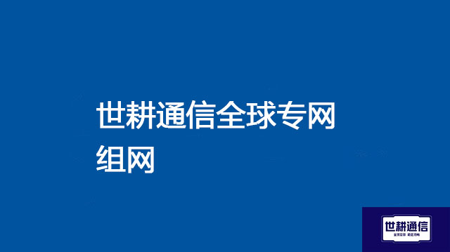 总部和海外分支组网？？？//世耕通信全球专网办公