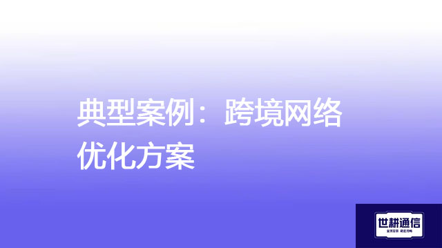 典型案例：跨境网络优化方案 ？？？解决方案//世耕通信全球办公专网专线