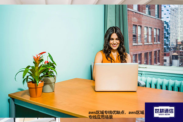aws区域专线优缺点，aws区域专线应用场景--解决方案//世耕通信全球办公专网专线