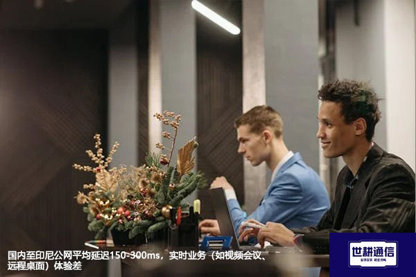 国内至印尼公网平均延迟150-300ms，实时业务（如视频会议、远程桌面）体验差--解决方案//世耕通信全球办公专网专线