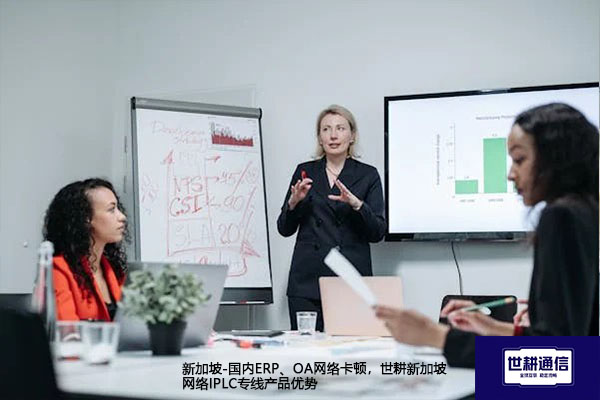 新加坡-国内ERP、OA网络卡顿，世耕新加坡网络IPLC专线产品优势--解决方案//世耕通信全球办公专网专线