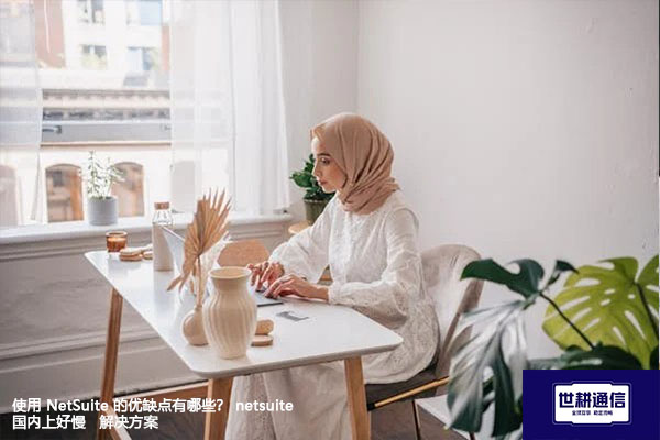 使用 NetSuite 的优缺点有哪些？ netsuite国内上好慢 ---解决方案//世耕通信全球办公专网专线