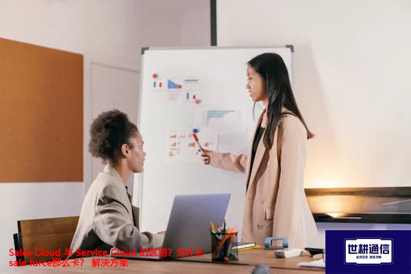 Sales Cloud 与 Service Cloud 的区别？为什么sale force那么卡？ --解决方案//世耕通信全球办公专网专线