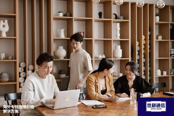 海外专线宽带价格--解决方案//世耕通信全球办公专网专线