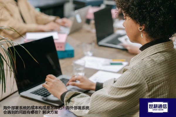 海外部署系统的成本构成是怎样的？海外部署系统会遇到的问题有哪些？--解决方案//世耕通信全球办公专网专线