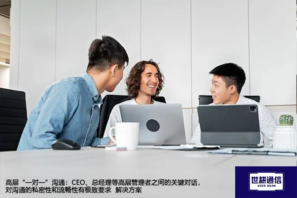 高层“一对一”沟通：CEO、总经理等高层管理者之间的关键对话，对沟通的私密性和流畅性有极致要求--解决方案//世耕通信全球视频专网专线