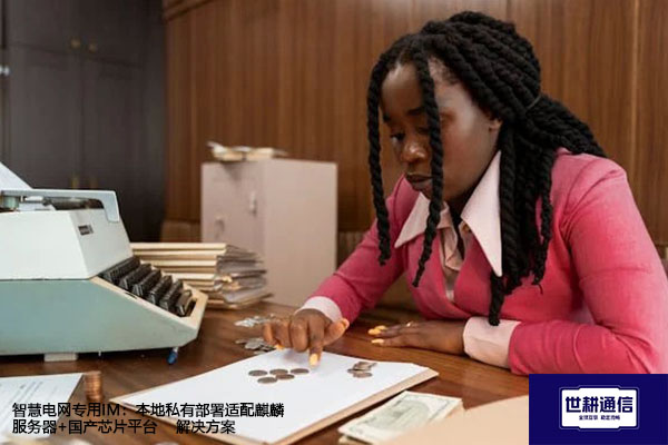 智慧电网专用IM：本地私有部署适配麒麟服务器+国产芯片平台--解决方案//世耕通信  即时通讯（IM）私有化部署