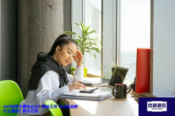 SAP适用于哪些企业？网络正常 SAP总是断什么原因？-解决方案//世耕通信全球办公专网专线