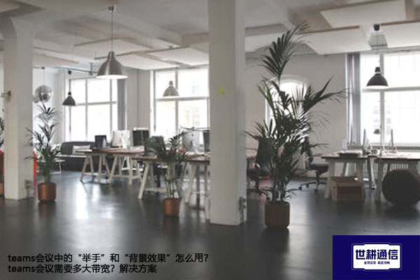 teams会议中的“举手”和“背景效果”怎么用？teams会议需要多大带宽？--解决方案//世耕通信全球办公Teams专网