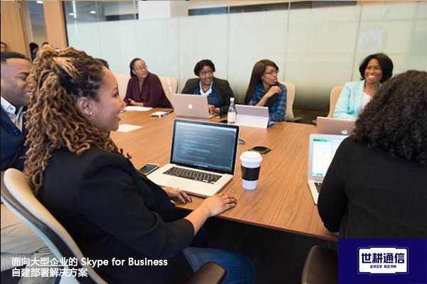 面向大型企业的 Skype for Business 自建部署--解决方案//世耕通信  即时通讯（IM）私有化部署