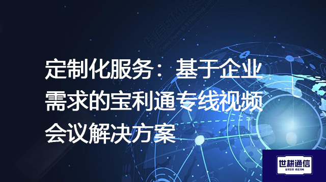定制化服务：基于企业需求的宝利通专线视频会议--解决方案//世耕通信全球视频专网专线