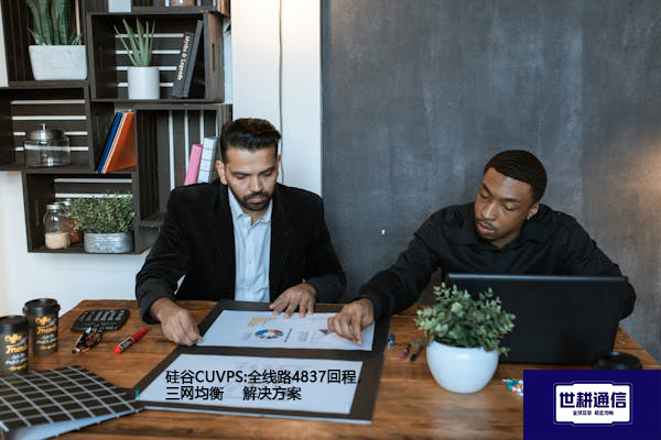 硅谷CUVPS:全线路4837回程，三网均衡--解决方案//世耕通信全球办公专网专线