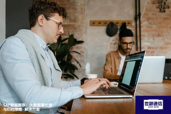 SAP数据膨胀：大数据量处理与归档策略--解决方案//世耕通信全球办公专网专线