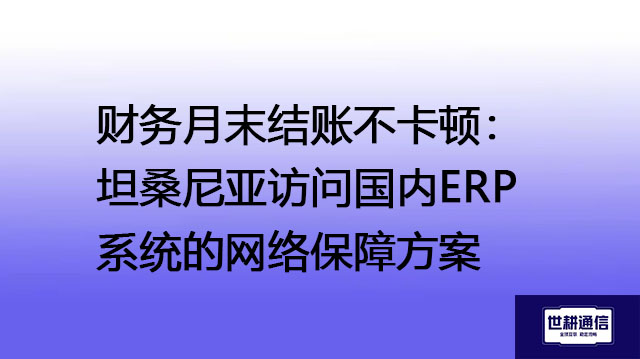 财务月末结账不卡顿：坦桑尼亚访问国内ERP系统的网络保障方案--解决方案//世耕通信全球ERP、OA办公专网专线