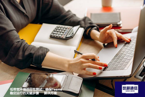 低带宽环境适应性测试：确保Teams稳定运行的关键步骤--解决方案//世耕通信全球办公Teams专网