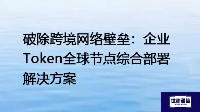 破除跨境网络壁垒：企业Token全球节点综合部署解决方案--世耕通信全球办公专网专线